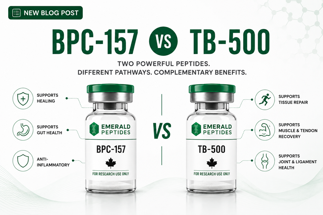 BPC-157 and TB-500 research peptide vials side-by-side comparison — recovery and tissue repair peptides for laboratory research use.