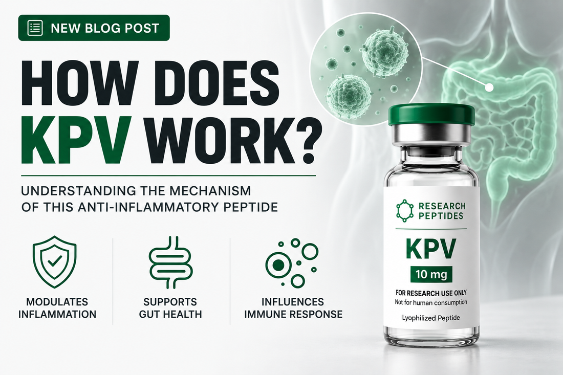 How does KPV work — molecular mechanism diagram showing PepT1 uptake and NF-κB pathway inhibition for research applications.