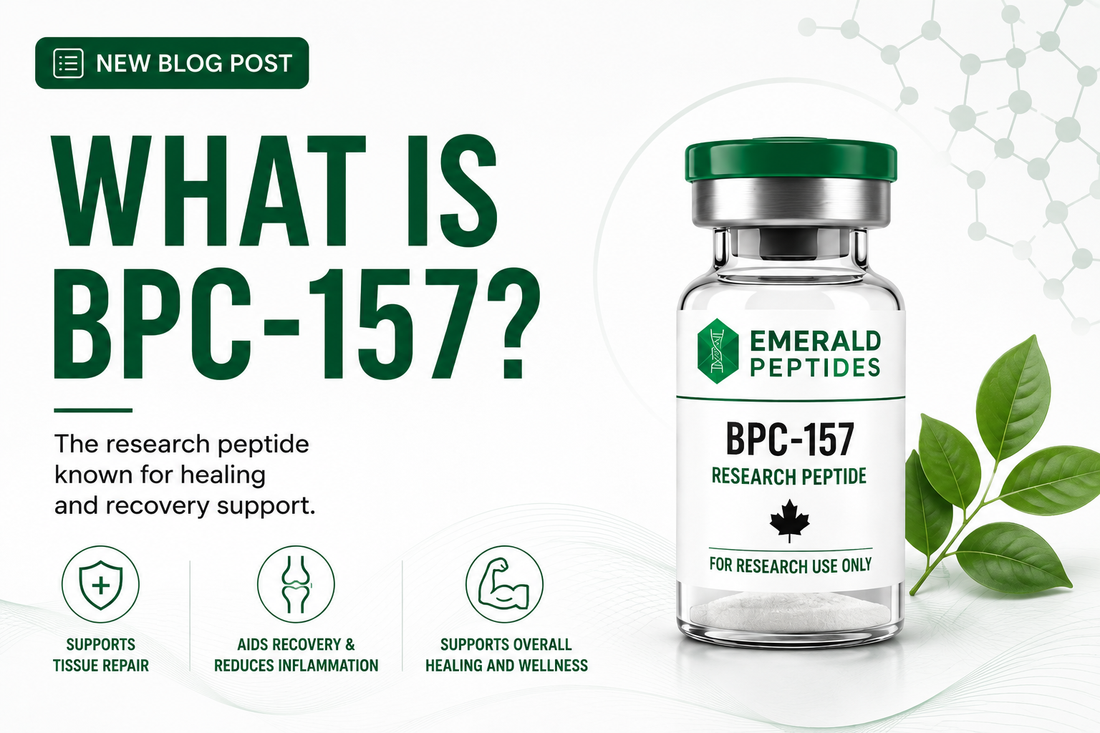 BPC-157 research peptide vial — pentadecapeptide from body protective compound, ≥99% HPLC purity, sold in Canada for laboratory research use.